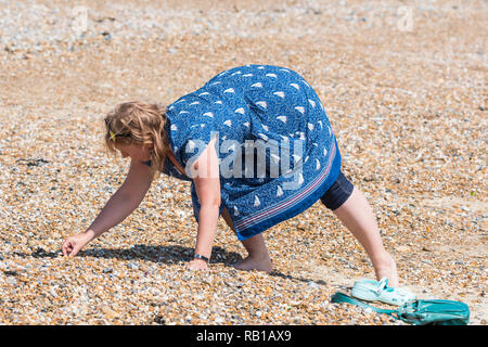 Woman bending over to pick up shells from a shingle beach. Woman collecting shells. Stock Photo