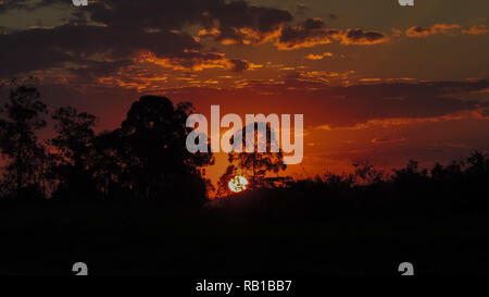 A reddish and cloudy sundown behind trees with ground and plants silhouettes Stock Photo