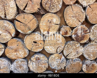A front view of a brown textured wooden wall with many trunks stuck vertically in it Stock Photo