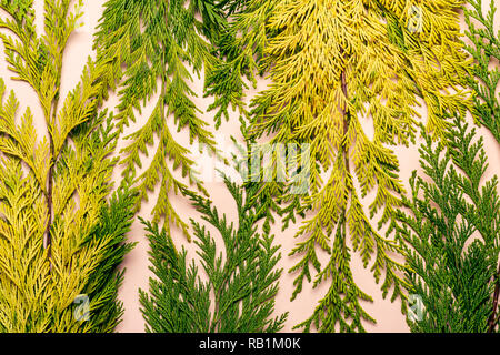 Abstract floral background of yellow green leaves. Stock Photo