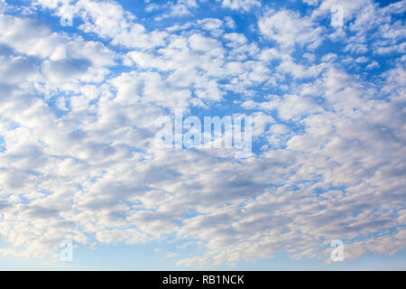 Cirrocumulus Cloud in blue sky on sunny fresh day. Stock Photo