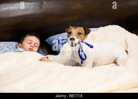 Child boy sleeping in bed and his dog wishing to go for walk Stock Photo