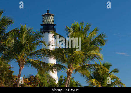 Cape Florida Lighthouse, Bill Baggs Cape Florida State Park, Florida Stock Photo