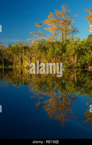 Tamiami Canal, Everglades and Francis S. Taylor Wildlife Management Area, Florida Stock Photo