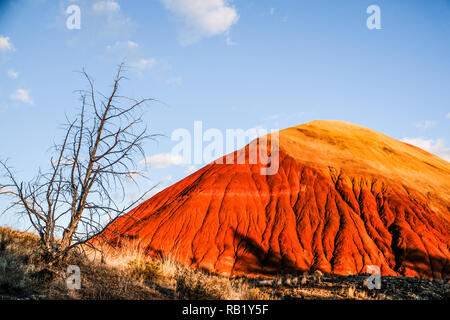 Golden and Red Red Hill at Painted Hills at John Day Fossil Stock Photo