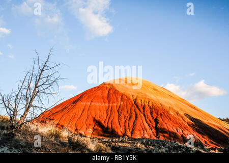 Golden and Red Red Hill at Painted Hills at John Day Fossil Stock Photo