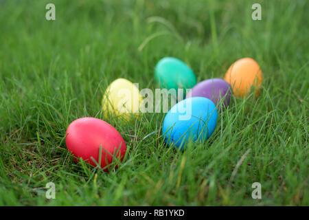 Six hen colored eggs  in a grass - Easter hunt Stock Photo
