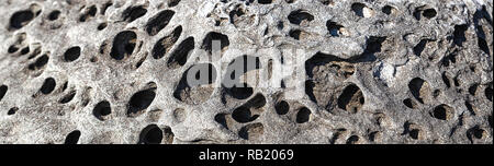 Panoramic form texture image of porous stone Stock Photo