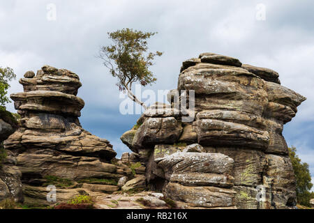 Brimham Rock, Yorkshire, UK Stock Photo