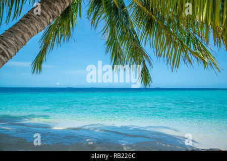 Wave of tropical sea beach on white sand with coconut leaf edge frame. Stock Photo