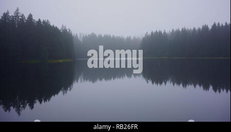 Forest lake in the fog. Tranquility of an old mining pond near Clausthal-Zellerfeld in Lower Saxony, Harz mountains, Germany. Stock Photo