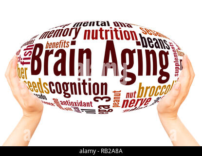 Brain Aging word cloud hand sphere concept on white background. Stock Photo