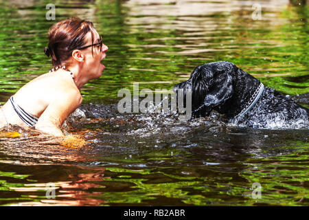 Woman and black schnauzer dog in the water, summer vacation at river, Czech Republic dog woman face to face Stock Photo