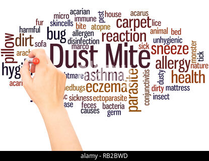 Dust mite word cloud hand writing concept on white background. Stock Photo