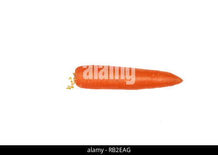 One whole carrots isolated on a white background. Isolate. Stock Photo