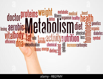 Metabolism word cloud and hand with marker concept on white background. Stock Photo