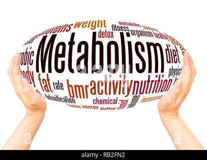 Metabolism word cloud hand sphere concept on white background. Stock Photo