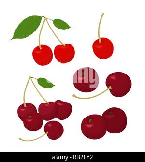 Cherries collection. Cherry and merry on white background. Vector illustration Stock Vector