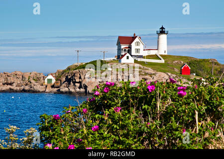 Nubble (Cape Neddick) lighthouse lies a few hundred feet away from the shore covered with beach roses on a summer day in Maine. The beacon is one of m Stock Photo