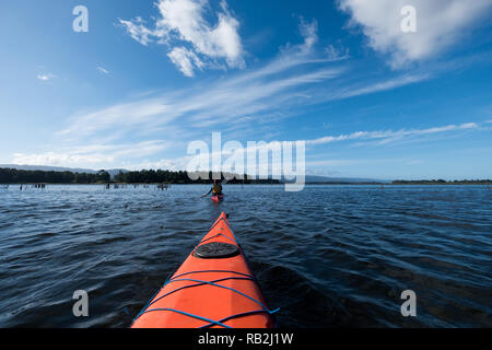 Kayak Trip In The South Of Chile Stock Photo - Alamy