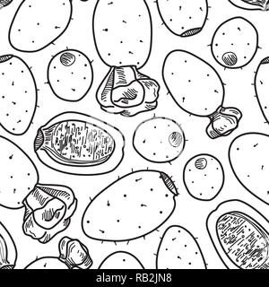 Prickly Pear or Opuntia Fruit Cactus Plant Line Seamless Pattern on White Background Stock Vector
