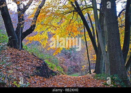 The Mariners Hill loop path, by Chartwell, Kent, Engand. On the Greensand Way of the North Downs and overlooks Winston Churchill's House. Autumn Stock Photo