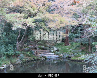 View of one of the ponds surrounded by trees at Tsurugaoka Hachimangu Shinto Shrine, Kamakura, Japan Stock Photo