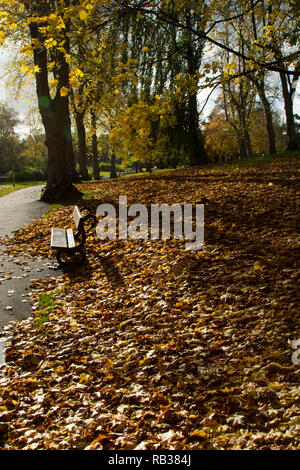 Dry yellow and brown fallen autumn leaves surrounding a wooden park seat in The Valley Gardens, Harrogate, North Yorkshire, England, UK. Stock Photo