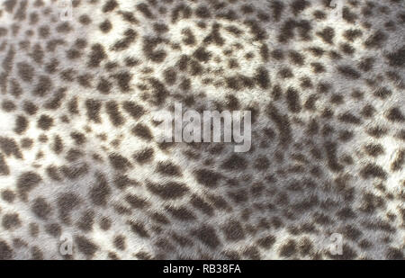 Fake leopard fur pattern wildlife print style Stock Photo