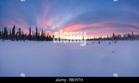 Sunrise during polar night in Urho Kekkonen national park, Lapland, Finland, Europe Stock Photo