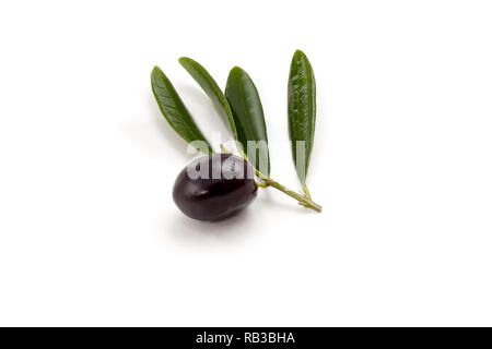 olive oil on olive leafs Stock Photo