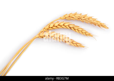 ears of wheat isolated on white background. Top view Stock Photo