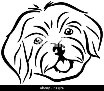 Maltese head black and white Stock Vector