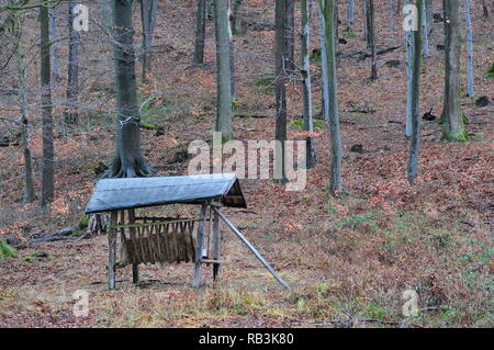 Feeder For Roe Deer In Winter Stock Photo 66369983 Alamy