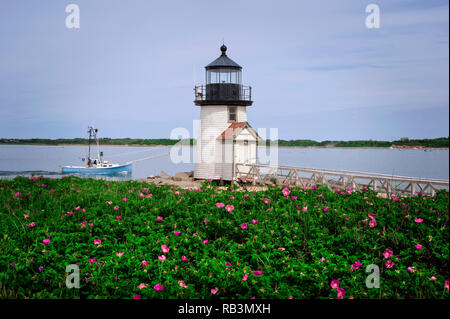 Beach roses near Nantucket Island lighthouse, Brant Point Light, as it guides a fishing boat into the harbor. Stock Photo