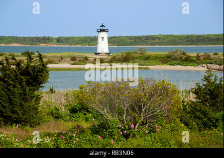 Edgartown lighthouse is surrounded by shrubs and wildflowers on Martha’s Vineyard island in Massachusetts. It is a favorite tourist attraction. Stock Photo