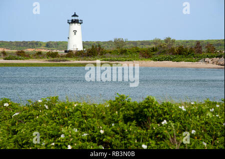 Edgartown lighthouse is a favorite destination for tourists on Martha’s Vineyard island during the summer months. Beach roses in the foreground surrou Stock Photo