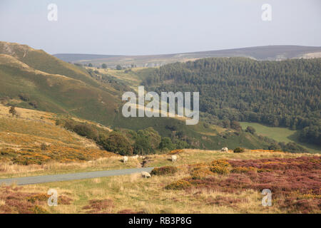 Horseshoe Pass, popular with hikers, near Llangollen, Denbighshire, North Wales, Wales, United Kingdom Stock Photo