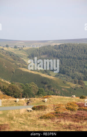 Horseshoe Pass, popular with hikers, near Llangollen, Denbighshire, North Wales, Wales, United Kingdom Stock Photo