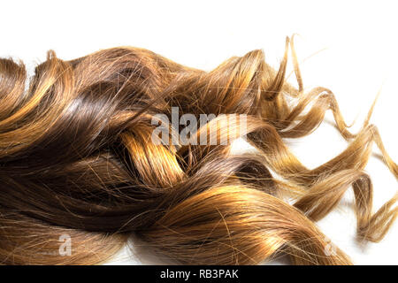 long brown curly hair on white isolated background Stock Photo
