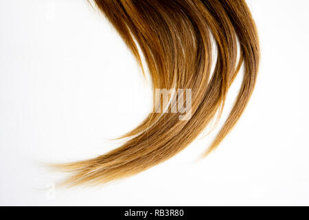 long brown straight hair on white isolated background Stock Photo