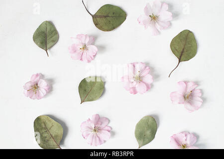 Feminine floral pattern. Dry eucalyptus leaves and pink Japanese cherry tree blossoms on old white wooden table background. Flat lay, top view. Stock Photo
