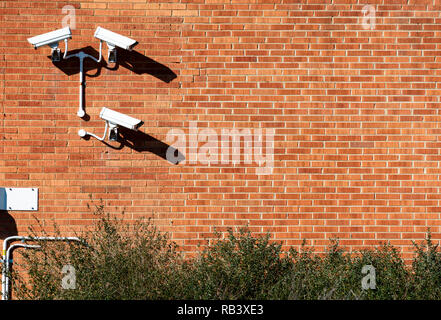 Three security cameras arranged and mounted on a red brick wall with trees framing the bottom of the frame and open negative space for text Stock Photo