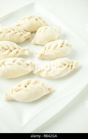 Asian meat dumplings on a white plate. Selective focus Stock Photo