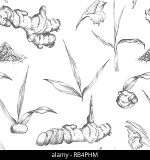 Seamless pattern hand drawn of Ginger roots, lives and flowers in black color isolated on white background. Retro vintage graphic design. botanical sketch drawing, engraving style Stock Vector