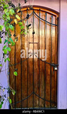 A quaint wooden door with vines hanging down surrounded by a purple wall Stock Photo