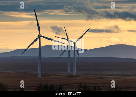 Wind farm turbines at sunset Stock Photo
