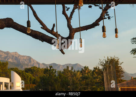 Original lamps hang on long wires against a background of pine branches and sky Stock Photo