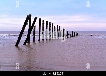 Rotten Groynes on the beach at Spurn Point. Stock Photo