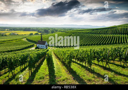 Kapelle in den Weinbergen, Eichertkapelle, Jechtingen im Kaiserstuhl Stock Photo